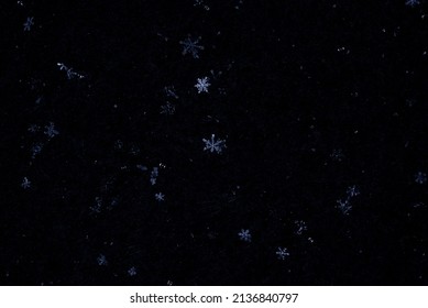 Snowflakes falling on black background