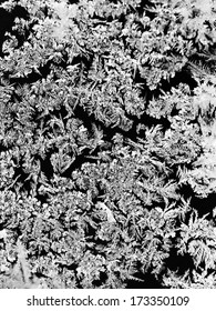 Snowflakes And Frost On Glass Close Up - Frosty Black And White Pattern On Window In Cold Winter Day