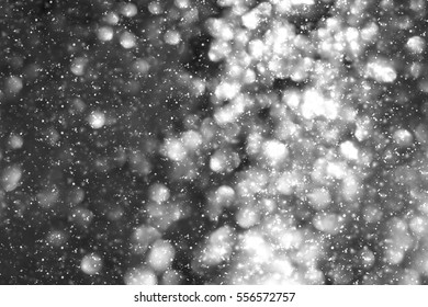 Snowflakes Particles White Bokeh Glitter Lights Stock Photo 556572757 ...