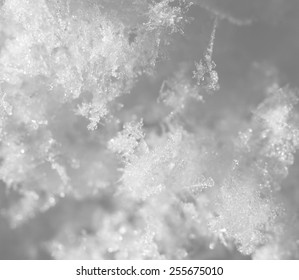 snowflakes. super macro