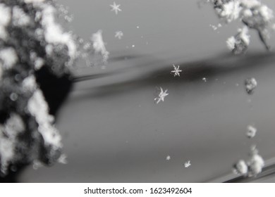 Snowflakes In The Upper Peninsula Of Michigan