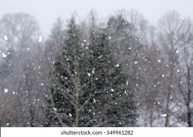 Snowing Outside Snow In The Park