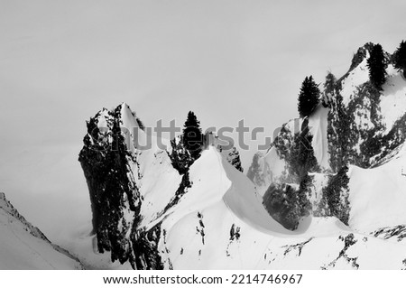 snowlandscape with Ibex on the top in Austria