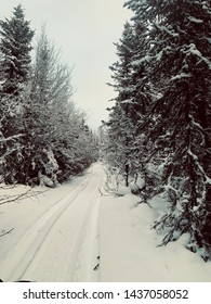 Snowmachine Trail In The Wilds Of Alaska