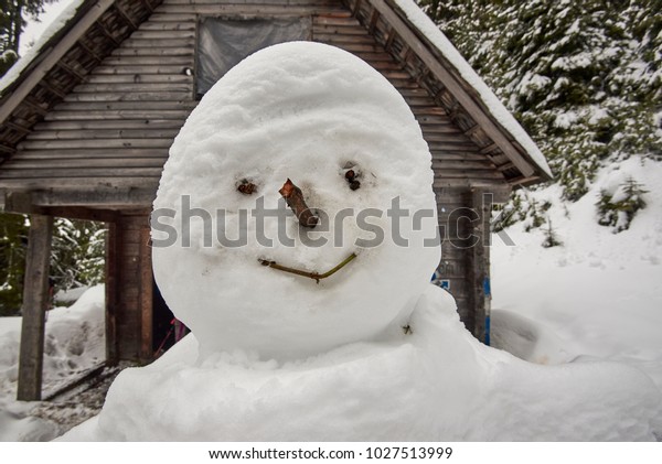 Snowman Built Woods Front Mountain Refuge Stock Photo Edit Now