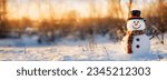 Snowman with a carrot nose, hat, scarf, coal buttons and stick arms standing outside on a winters day. Concept of winter, snow and childhood. Shallow field of view.