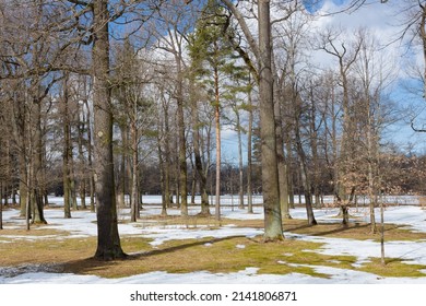 Snowmelt In Early Spring In The Park