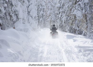 Snowmobile driving on a narrow trail in a snowy forest on a bright winter day
