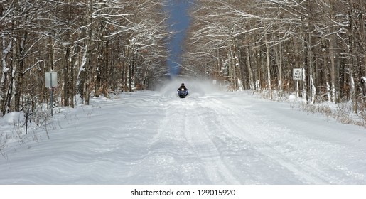 Snowmobile On Michigan Forest Trail