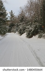 Snowmobile Trail During Winter In Maine