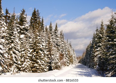 Snowmobile Trail In Northern Maine After A Snow Fall