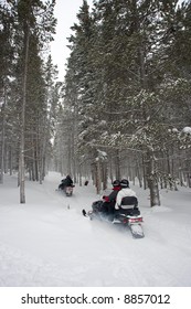 Snowmobile Trail Ride