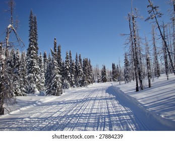 Snowmobile Trail In Winter