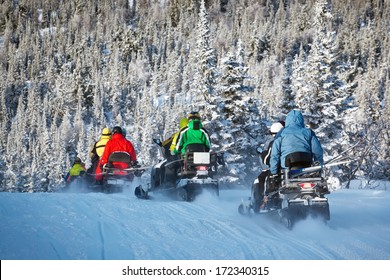 Snowmobiling In Forest