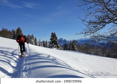 Snowshoe Hiking In January 2021 In The Vercors Massif With Exceptional Snow And Weather