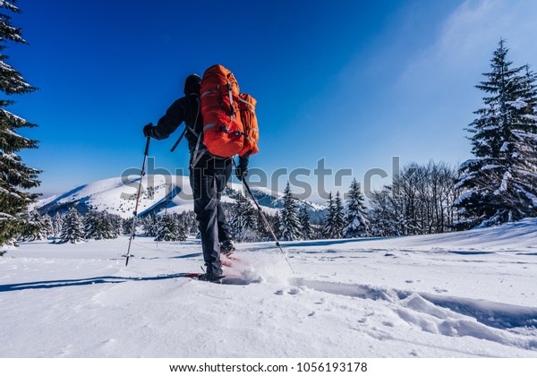 雪が積もった雪の中で雪が降る 山での冬の野外活動 スノーシューズをハイキングするコース 雪中を歩く男性は 雪やトレッキングポールを使って山の景色を覆った スロバキア の写真素材 今すぐ編集