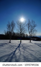 Snowshoeing At Furano, Hokkaido, Japan