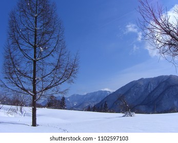 Snowshoeing Hakuba Nagano Japan