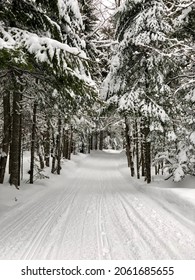 Snowshoeing The North Woods Snowmobile Trails In Aroostook County Maine