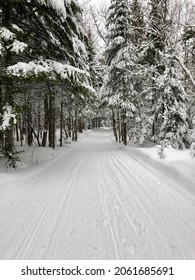 Snowshoeing The North Woods Snowmobile Trails In Aroostook County Maine