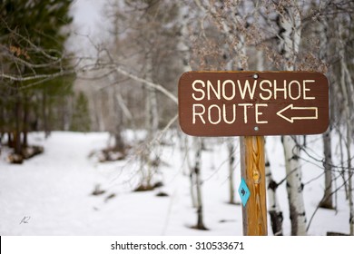 Snowshoeing Path