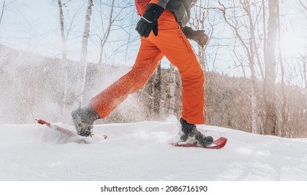 Snowshoeing People In Winter Forest Mountain In Snow. Man On Hike In Snow Hiking In Snowshoes Living Healthy Active Outdoor Lifestyle In Winter On Snowy Day. Legs And Snowshoe Closeup.