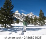 Snowshoeing through Grand Teton National Park