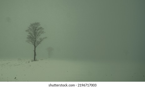 Snowstorm Night Outdoor Winter Blizzard