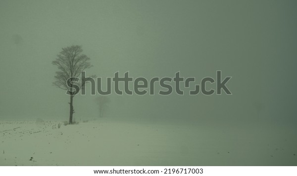 Snowstorm night outdoor\
winter blizzard