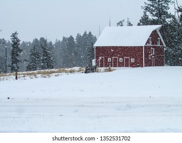 Snowstorm At The Ranch, Montana