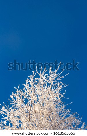 Similar – Foto Bild Erogene Zone Natur Himmel