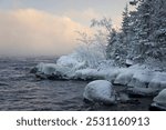 Snow-white trees on the icy shore of the dark Ladoga Lake on a foggy cloudy day