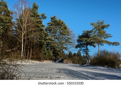 Snow.Winter.