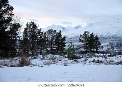 Snowy Backyard And Snowy Mountain