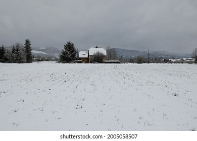 Snowy Backyard And A Stand-alone House