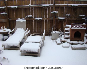 Snowy Backyard With Wood Fence