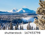 Snowy boreal forest taiga winter wilderness landscape of Yukon Territory, Canada, north of Whitehorse