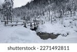 A snowy bridge in the forest over a stream.