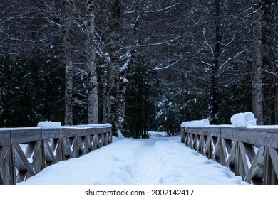 Snowy Bridge Over The Ordesa Meadow