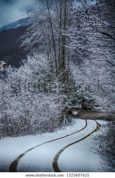 snowy car\
path