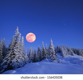 Snowy Christmas landscape. Moonlit night. Winter forest in snow. Full moon and starry sky. Natural background in blue colors - Powered by Shutterstock