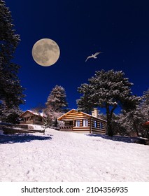 Snowy Christmas Landscape. Moonlit Night. Winter Forest In The Snow. Full Moon Sky. Natural Background In Blue Colors.Snow, Fog. Dark Night In The Forest With Moonlight. Night Vision