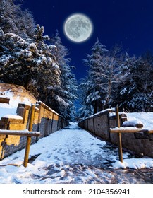 Snowy Christmas Landscape. Moonlit Night. Winter Forest In The Snow. Full Moon Sky. Natural Background In Blue Colors.Snow, Fog. Dark Night In The Forest With Moonlight. Night Vision