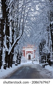 Snowy City Scene With Snow On The Streets And Trees