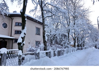 Snowy City Scene With Snow On The Streets And Trees