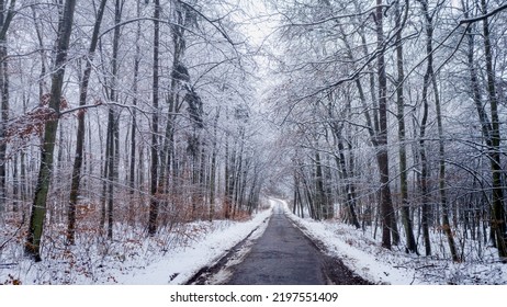 Snowy Country Road In Forest. Aerial View Of Wildlife In Poland, Europe