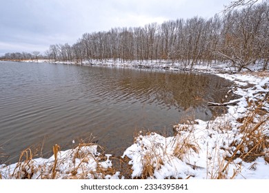 Snowy Cove on A Forested Lake in Busse Wood Preserve in Illinois