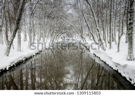 Similar – Foto Bild Winterzauber Landschaft