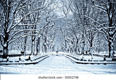 Snowy Day In Central Park