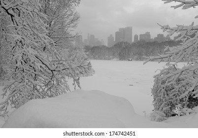 Snowy Day In Central Park, New York City